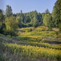 Landscape Photography